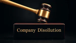 انحلال شرکت با مسئولیت محدود تصویر پنجم